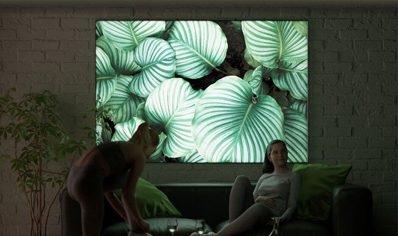 Flatpanel an der  Wohnzimmerwand, wo 2 Damen auf einer Couch sitzen und ein Tisch vor der couch ist und daneben eine Pflanze